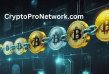 Foster From Cryptopronetwork