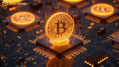 Bow Miner shocks the cryptocurrency world: 580 TH/s mining speed 33 BTC mined in 24 hours!