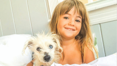 The Comfort and Protection of the Best Dog Bed Covers 
