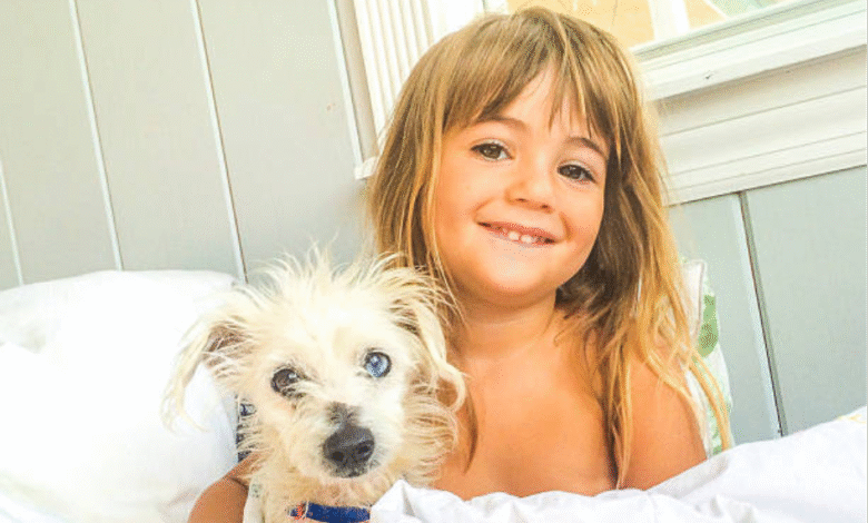 The Comfort and Protection of the Best Dog Bed Covers