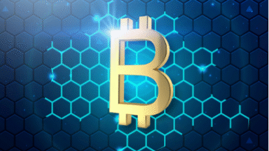 BTCC Exchange Review: Pros & Cons, Features And More