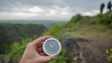 What Are Compass Rose? A Complete Educational Guide to Understanding Map Directions