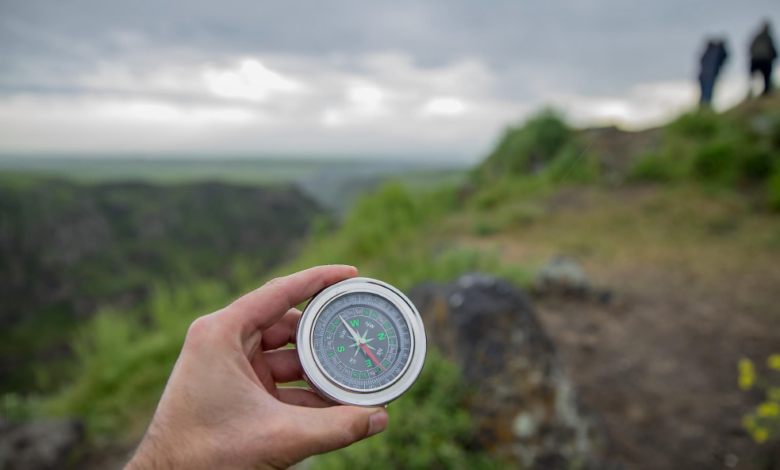 What Are Compass Rose? A Complete Educational Guide to Understanding Map Directions
