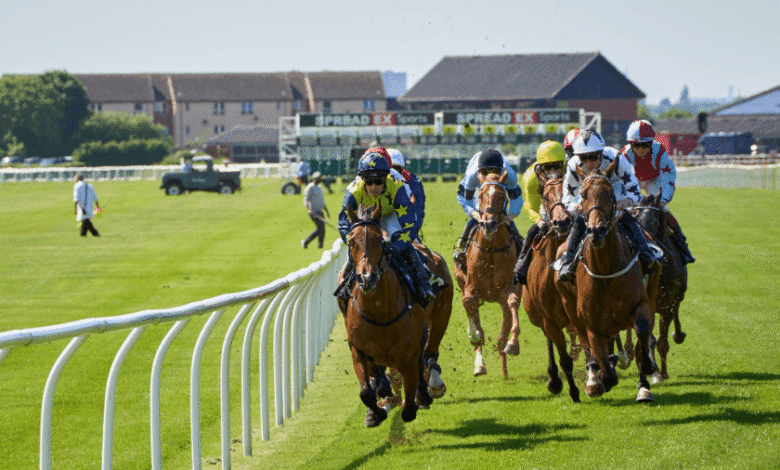 A Beginner’s Guide to Betting on Horse Racing With Cryptocurrency