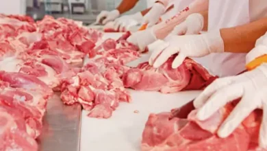Managing Meat Quality From Delivery to Meal Preparation